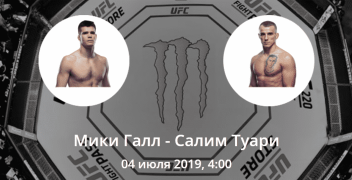 Мики Галл — Салим Туари. Коэффициенты, ставки и прогноз на бой UFC.