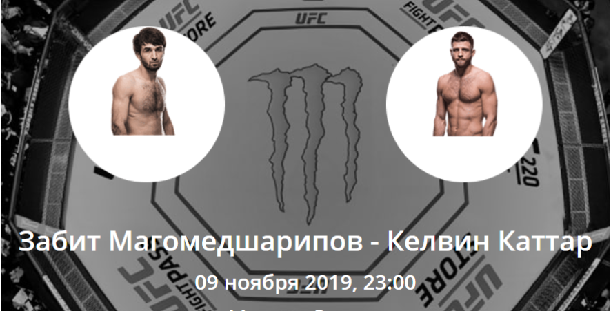 Забит Магомедшарипов - Келвин Каттар. Коэффициенты, ставки и прогноз на UFC Fight Night 163.