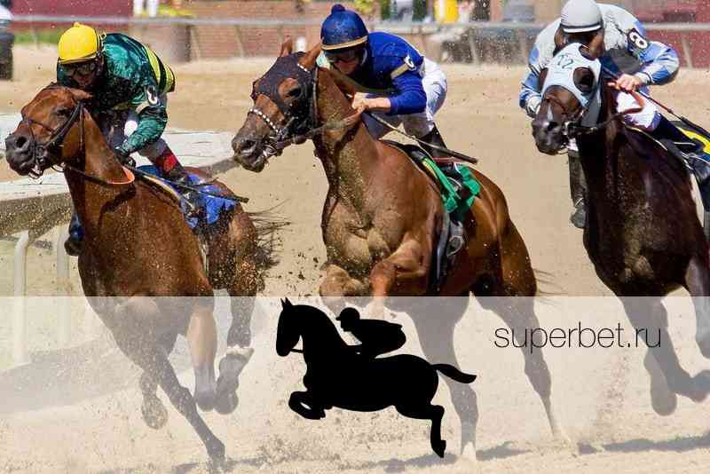 Онлайн скачки на лошадях ставки топ бк контор