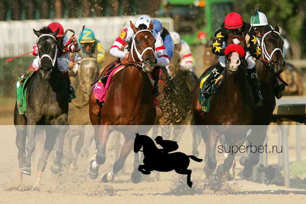 Ставки на скачки лошадей онлайн marathonbet марафон букмекерская контора