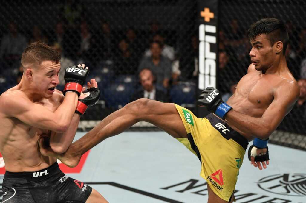 Раулиан Пава в бою UFC.