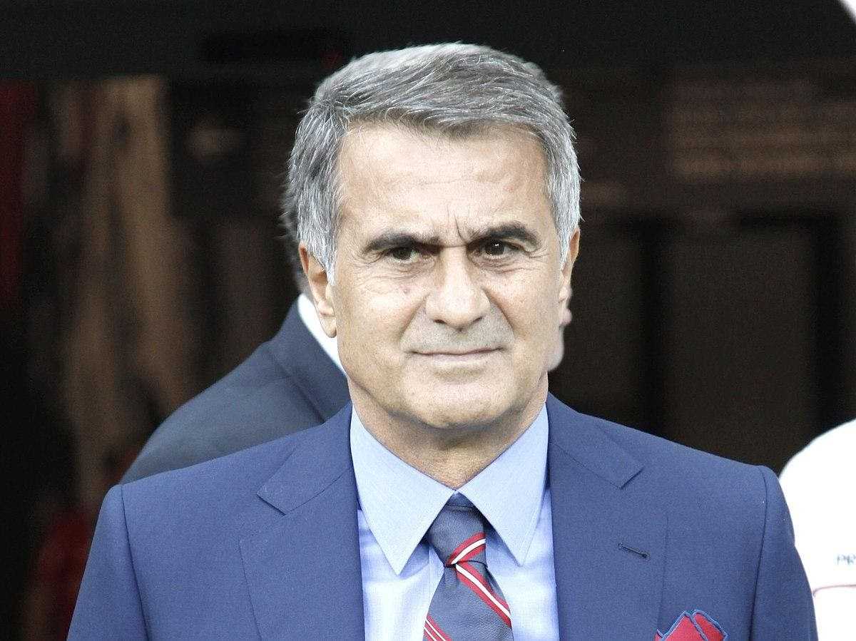 Шенол Гюнеш – главный тренер сборной Турции