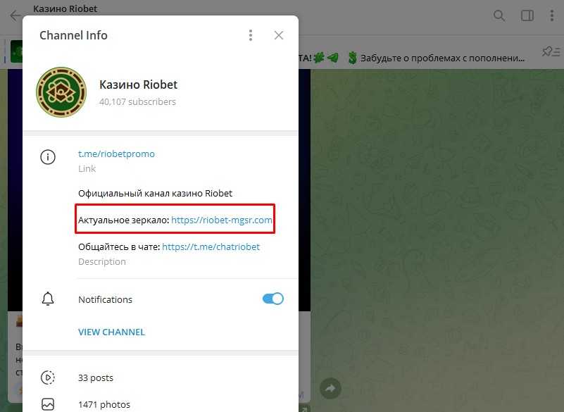 Ссылка на рабочее зеркало Riobet в описании Telegram-канала казино 